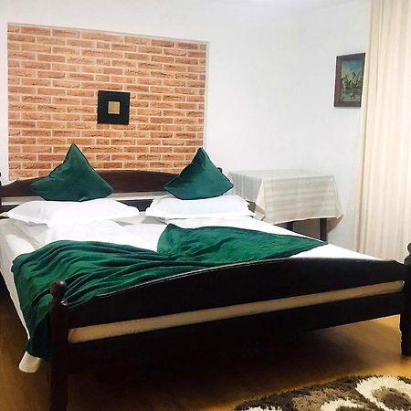 Willa Apartament Sarco Vatra Dornei Zewnętrze zdjęcie
