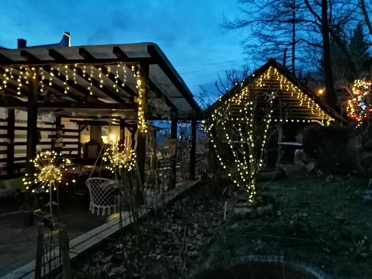 Willa Apartament Sarco Vatra Dornei Zewnętrze zdjęcie