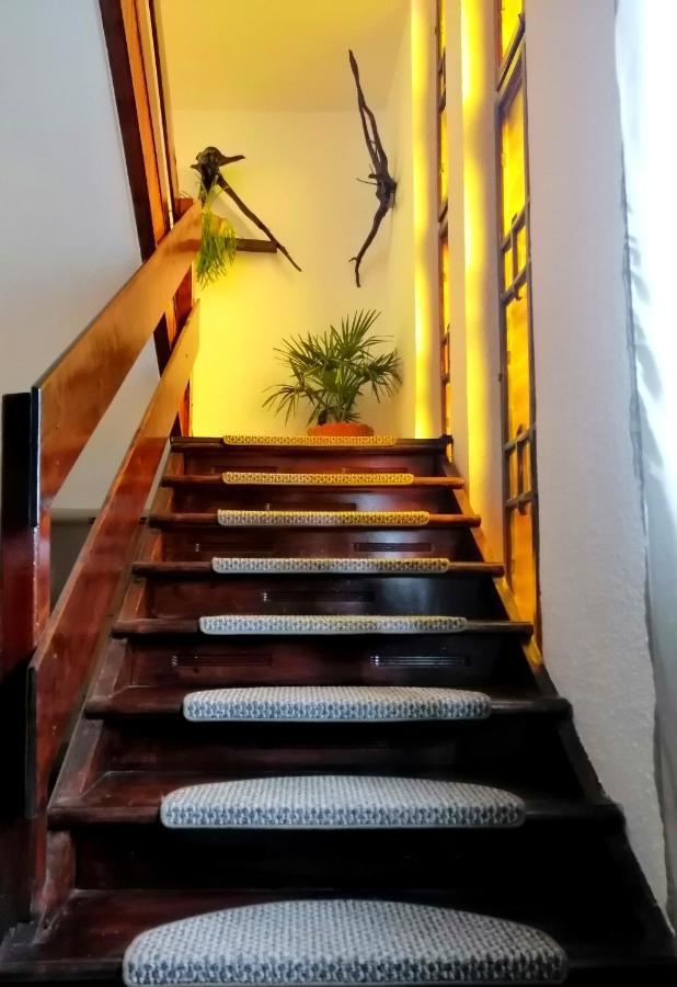 Willa Apartament Sarco Vatra Dornei Zewnętrze zdjęcie
