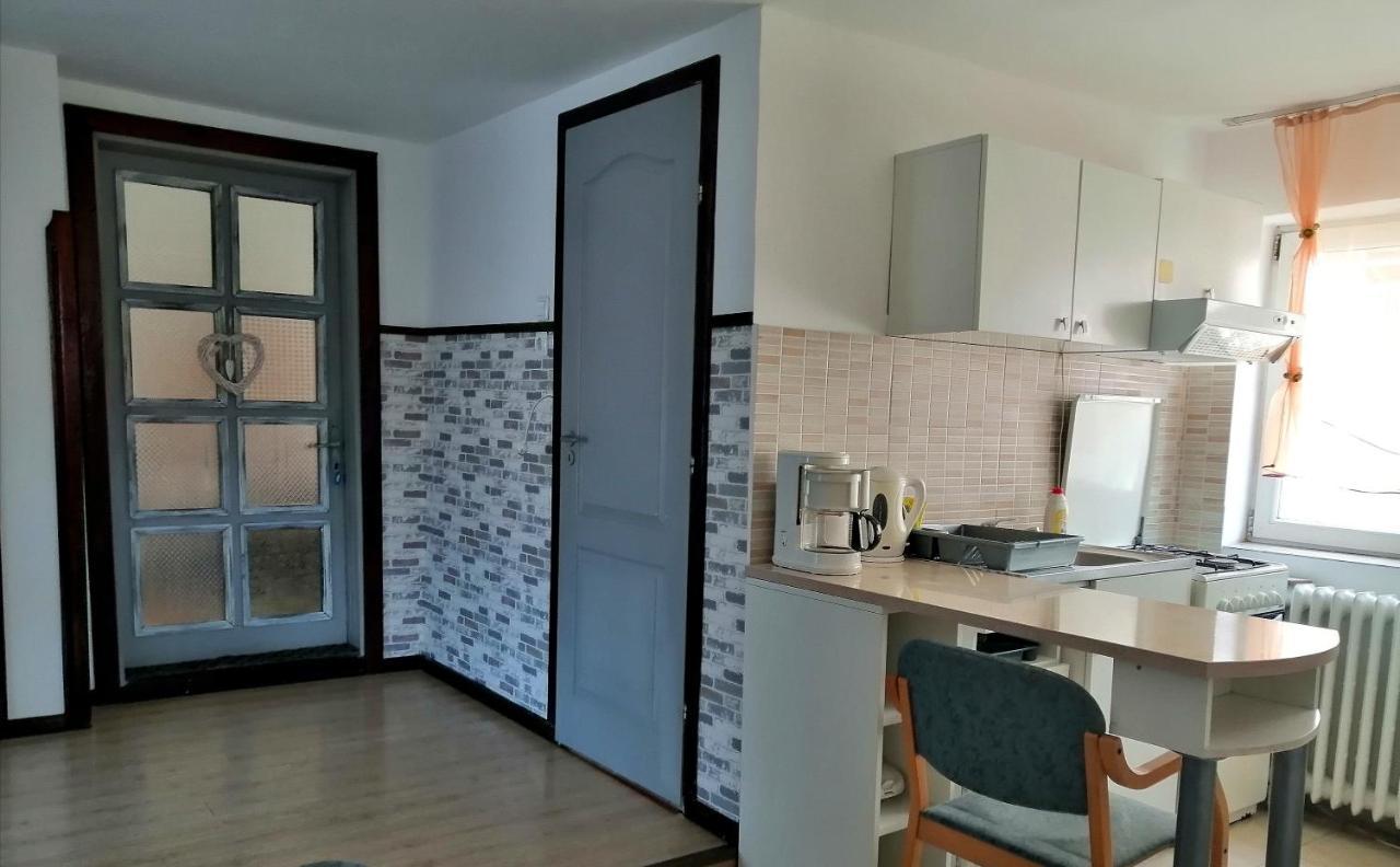 Willa Apartament Sarco Vatra Dornei Zewnętrze zdjęcie