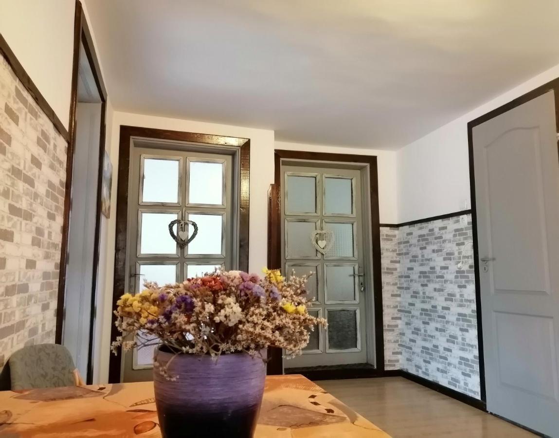 Willa Apartament Sarco Vatra Dornei Zewnętrze zdjęcie