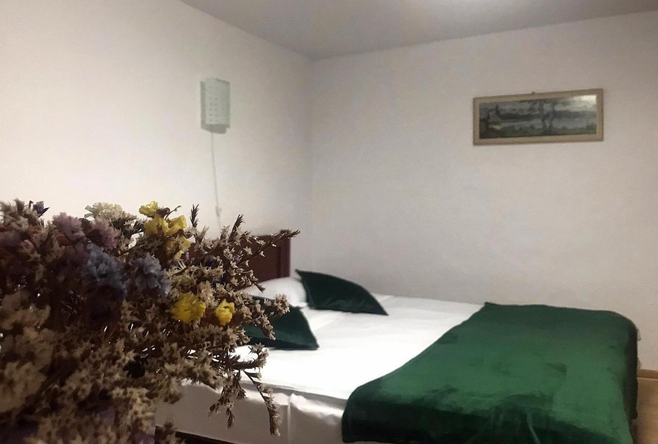 Willa Apartament Sarco Vatra Dornei Zewnętrze zdjęcie
