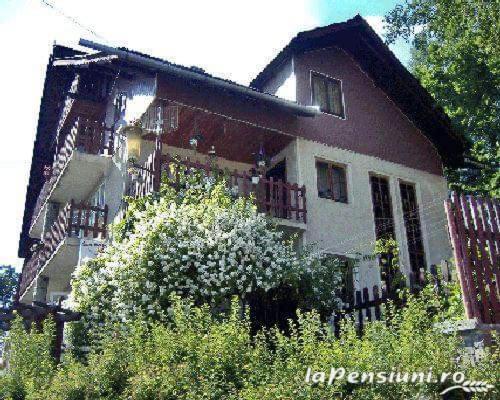 Willa Apartament Sarco Vatra Dornei Zewnętrze zdjęcie